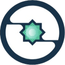 instar-insights-network